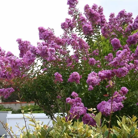 B&b-les Balcons De Maragon ベッド・アンド・ブレックファスト 4*