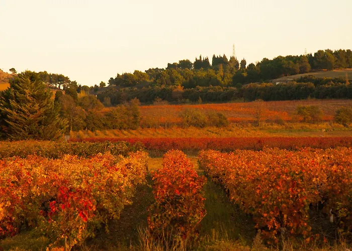 B&b-les Balcons De Maragon