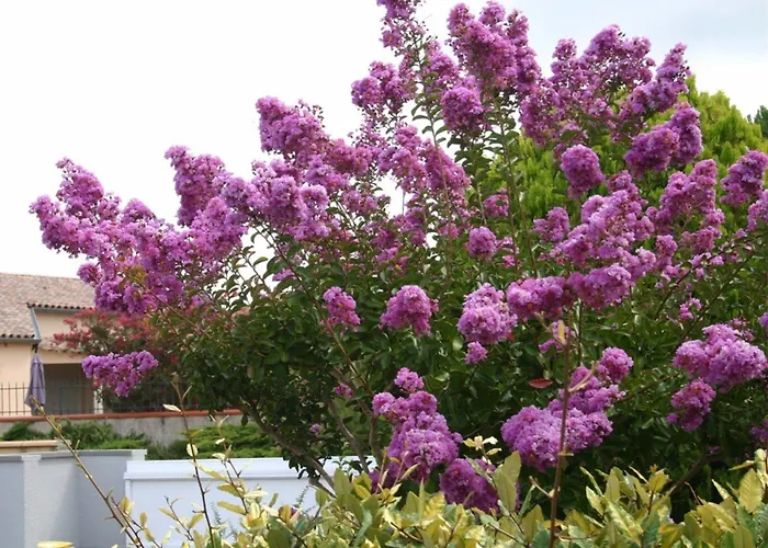 B&b-les Balcons De Maragon Bed & Breakfast 4*